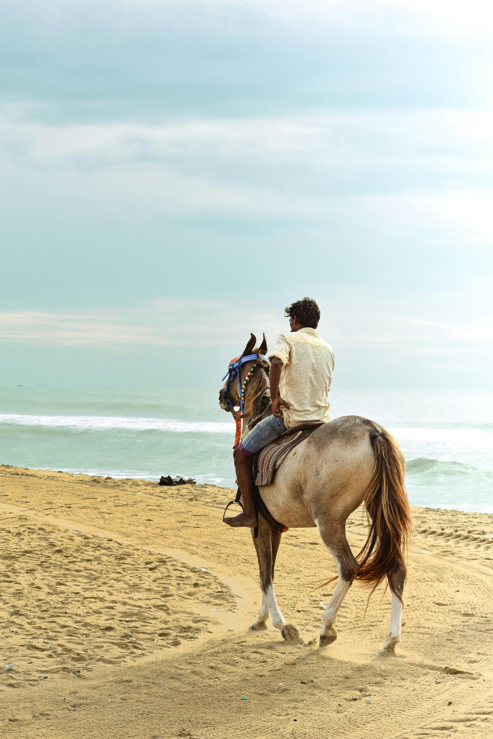 Coucher de soleil à cheval sur la plage
