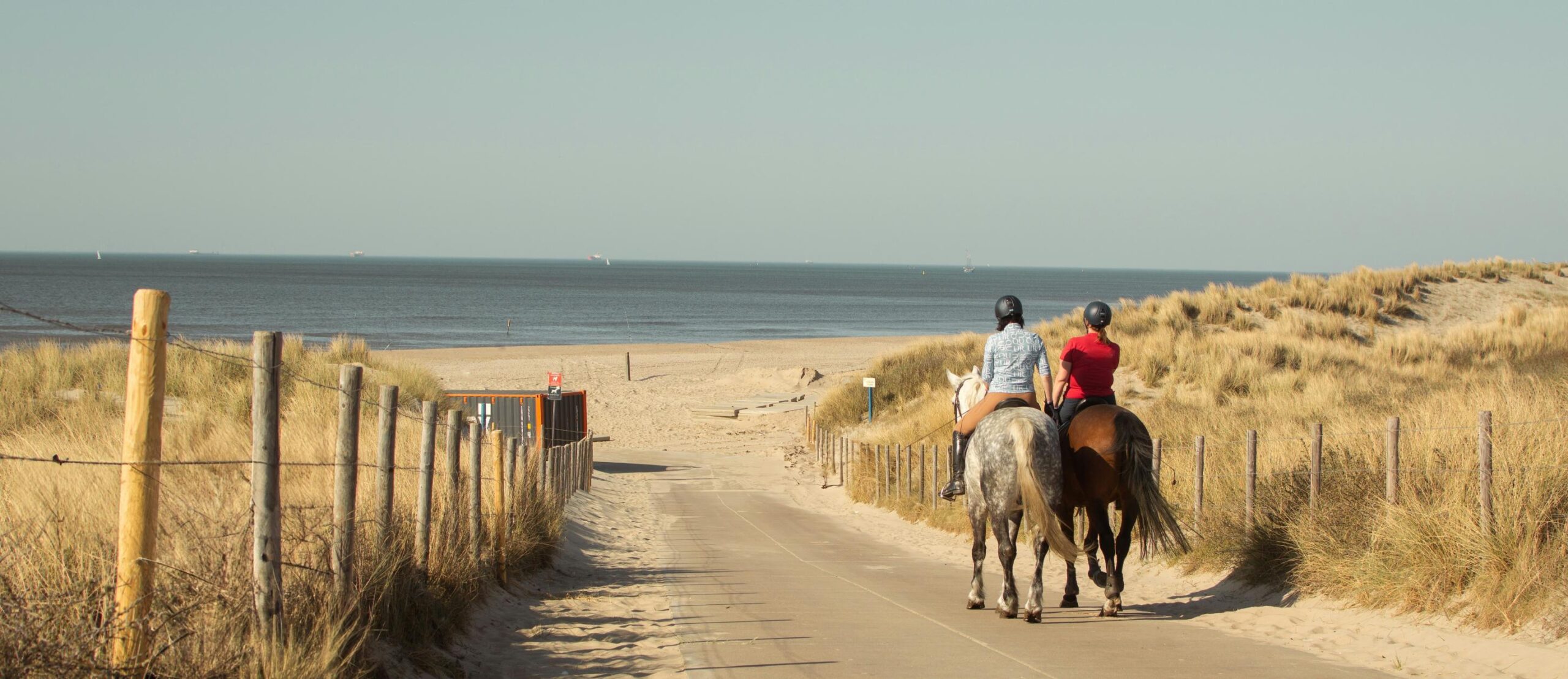Cavaliers dans les dunes